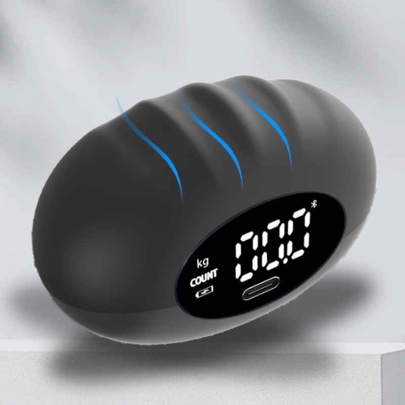 Dinamometer Tangan Digital Erg - Home Automation Industry ulasan dan harga