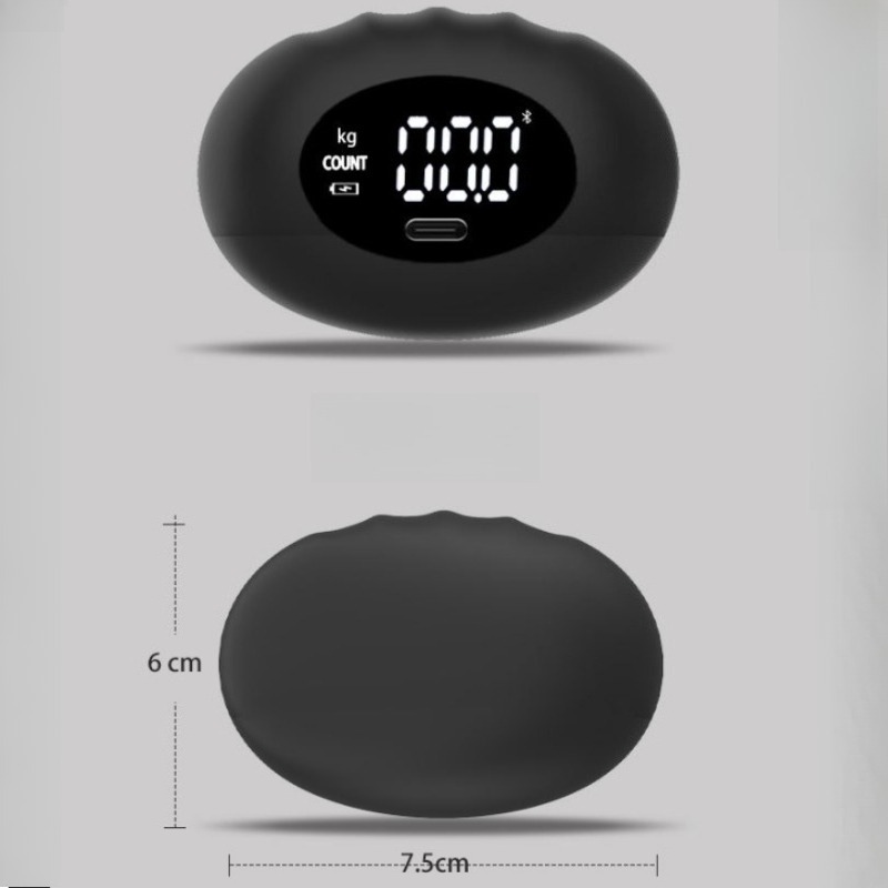 Dinamometer Tangan Digital Erg - Home Automation Industry ulasan dan harga