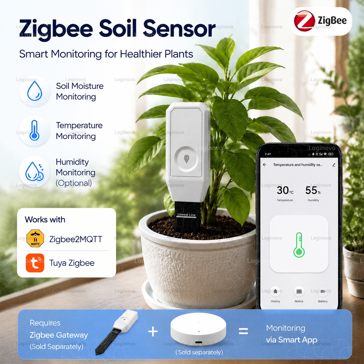 Tuya Zigbee Penguji Kelembapan - Home Automation Ideas ulasan dan harga