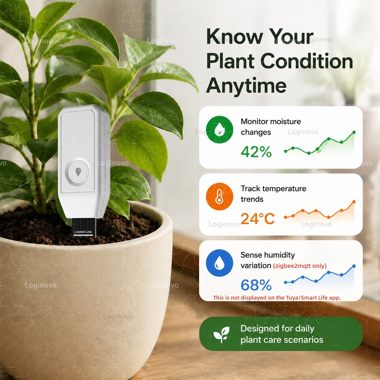 Tuya Zigbee Penguji Kelembapan - Home Automation Ideas ulasan dan harga